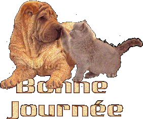 bonne journée